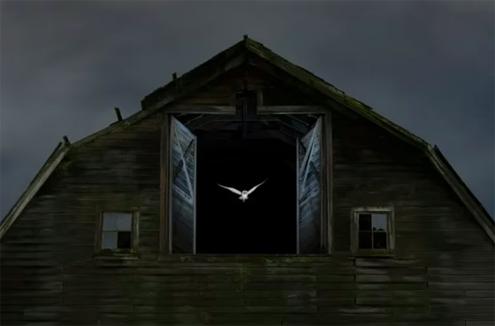 ألق نظرة على صور مسابقة مصور الحياة البرية لعام 2024 صورة رقم 7