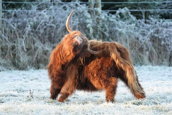 إليكم أطرف الصور لهذا الأسبوع لأبرز الأحداث حول العالم صورة رقم 9 إليكم أطرف الصور لهذا الأسبوع لأبرز الأحداث حول العالم صورة رقم 9