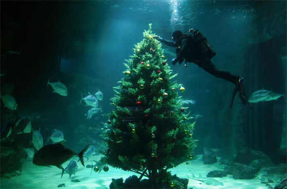 إليكم الصور الأكثر لفتا للأنظار لهذا الأسبوع لأبرز أحداث العالم صورة رقم 1 إليكم الصور الأكثر لفتا للأنظار لهذا الأسبوع لأبرز أحداث العالم صورة رقم 1