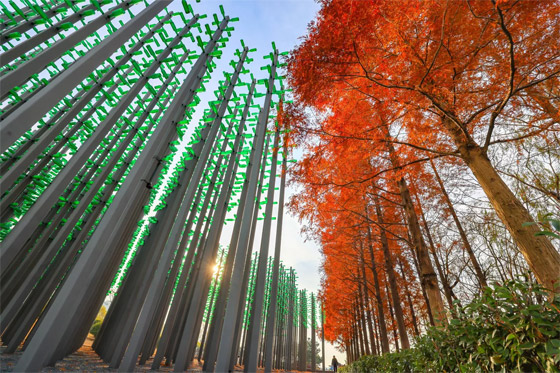 إليكم الصور الأكثر لفتا للأنظار لهذا الأسبوع لأبرز أحداث العالم صورة رقم 10 إليكم الصور الأكثر لفتا للأنظار لهذا الأسبوع لأبرز أحداث العالم صورة رقم 10