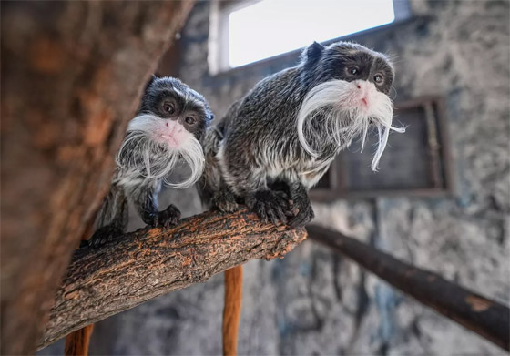 إليكم الصور الأكثر لفتا للأنظار لهذا الأسبوع لأبرز أحداث العالم صورة رقم 15 إليكم الصور الأكثر لفتا للأنظار لهذا الأسبوع لأبرز أحداث العالم صورة رقم 15