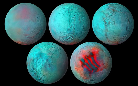 منها جولة بدماغ ذبابة.. اكتشافات علمية في 2024 ستشكل المستقبل صورة رقم 1 منها جولة بدماغ ذبابة.. اكتشافات علمية في 2024 ستشكل المستقبل صورة رقم 1