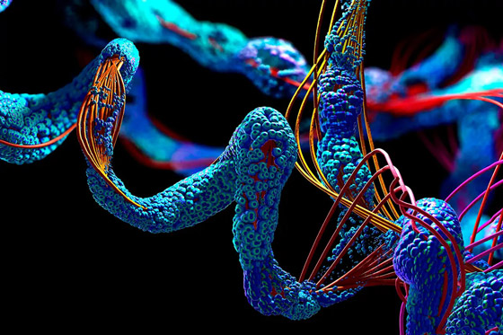 منها جولة بدماغ ذبابة.. اكتشافات علمية في 2024 ستشكل المستقبل صورة رقم 6 منها جولة بدماغ ذبابة.. اكتشافات علمية في 2024 ستشكل المستقبل صورة رقم 6