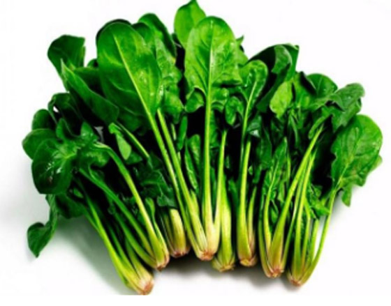 نية ولا مستوية.. كيف نأكل السبانخ الصحية؟ صورة رقم 1