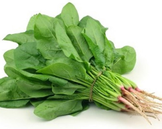 نية ولا مستوية.. كيف نأكل السبانخ الصحية؟ صورة رقم 4