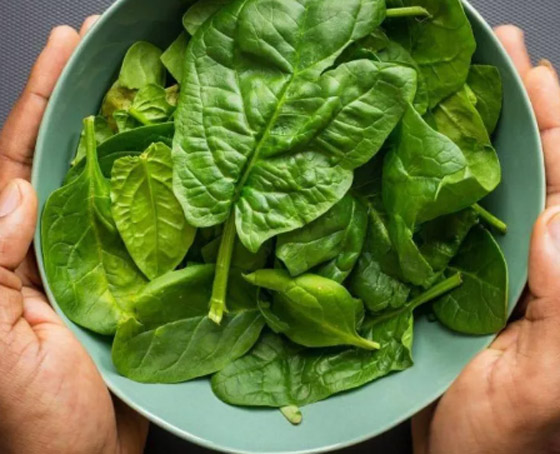 نية ولا مستوية.. كيف نأكل السبانخ الصحية؟ صورة رقم 5