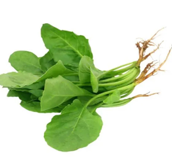 نية ولا مستوية.. كيف نأكل السبانخ الصحية؟ صورة رقم 6