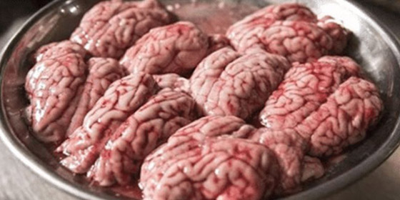 بالصور: تعرفوا إلى أغرب 10 مأكولات حول العالم صورة رقم 6