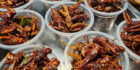 بالصور: تعرفوا إلى أغرب 10 مأكولات حول العالم صورة رقم 10