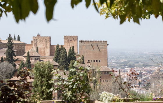 5 وجهات سياحية ضمن الأكثر زيارة خلال 2024.. تعرفوا إليها صورة رقم 2