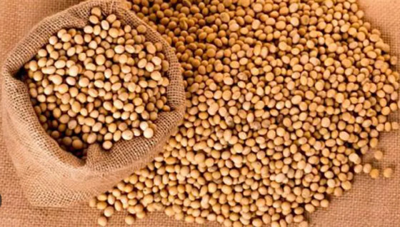 5 بقوليات تناولها فى الشتاء هتساعدك على التخلص من الوزن الزائد صورة رقم 4 5 بقوليات تناولها فى الشتاء هتساعدك على التخلص من الوزن الزائد صورة رقم 4