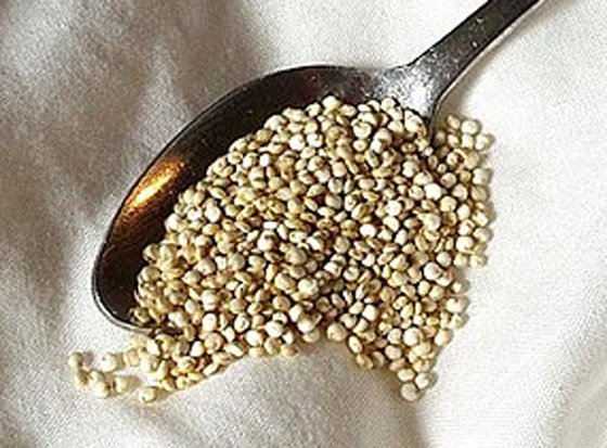 5 بقوليات تناولها فى الشتاء هتساعدك على التخلص من الوزن الزائد صورة رقم 5 5 بقوليات تناولها فى الشتاء هتساعدك على التخلص من الوزن الزائد صورة رقم 5