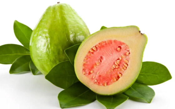 6 أسباب تدفعك إلى مضغ أوراق الجوافة.. عناصر غذائية لا يجب تجاهلها صورة رقم 3