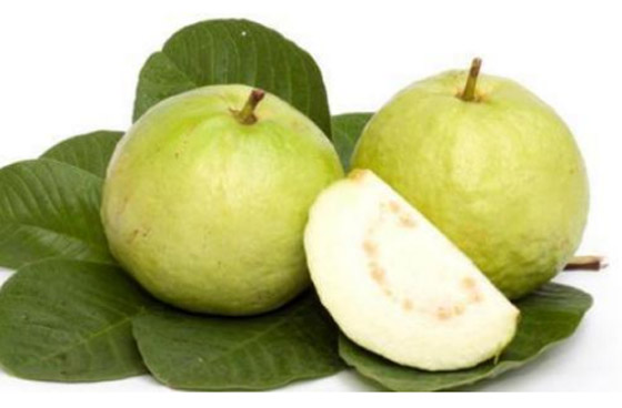 6 أسباب تدفعك إلى مضغ أوراق الجوافة.. عناصر غذائية لا يجب تجاهلها صورة رقم 5