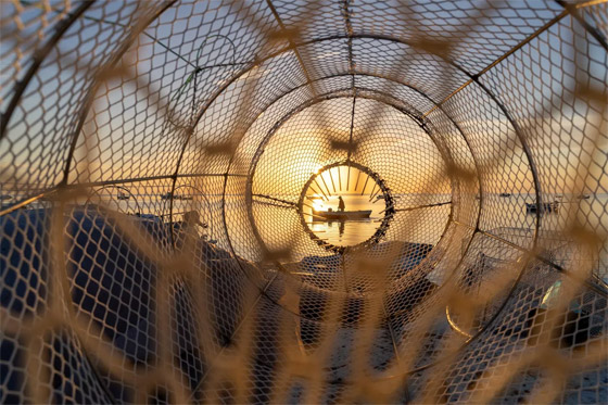 غزلان بغابة ضبابية.. صور رائعة تفوز بجوائز مسابقة 