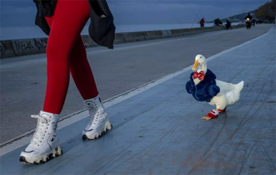 إليكم أطرف الصور لهذا الأسبوع لأبرز أحداث العالم لعيد الميلاد صورة رقم 3