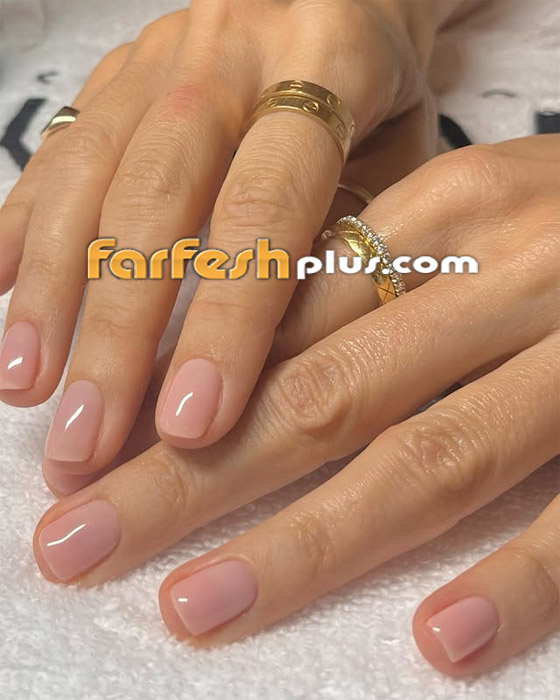  ���� ��� 6 - ������� ����� �������� ������ ����� ���� ����� ������ �� 2024