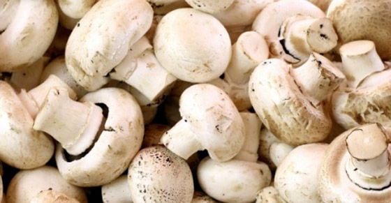 أكلات تزود فيتامين 