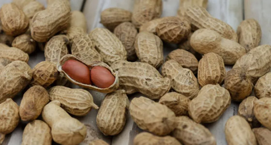 احتفل بصحة.. فوائد الفول السودانى سناك احتفالات رأس السنة 2025 صورة رقم 7