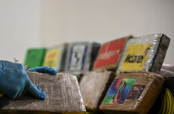 داخل شحنة موز.. ضبط 3,5 أطنان من الكوكايين في هذا البلد صورة رقم 3