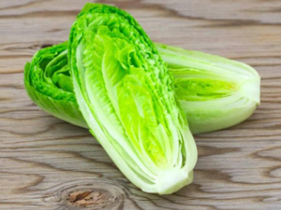  ���� ��� 5 - ����� ���� ����� �� ������� ��������.. ������ �� ���� ������