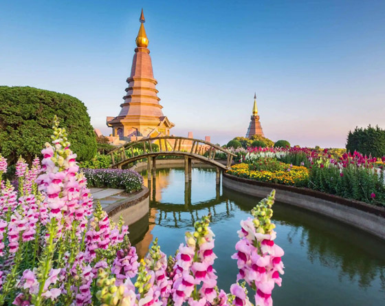 25 وجهة سياحية ستقدم تجربة لا تنسى في 2025.. صور صورة رقم 11 25 وجهة سياحية ستقدم تجربة لا تنسى في 2025.. صور صورة رقم 11