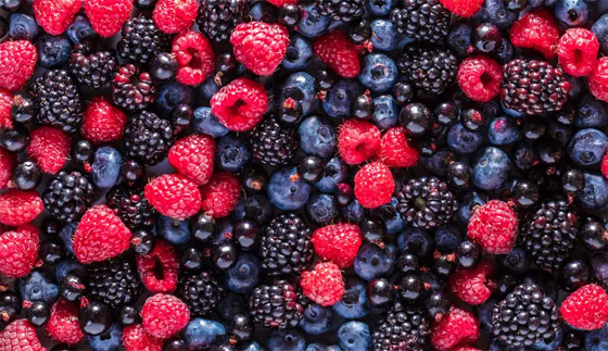 صورة رقم 2 - 5 أطعمة فائقة لإنقاص الوزن.. منها الزبادي والتوت صورة رقم 2 - 5 أطعمة فائقة لإنقاص الوزن.. منها الزبادي والتوت