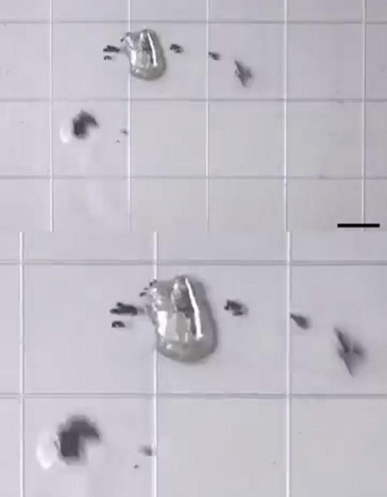  ���� ��� 8 - ����� ��� ���.. ����� ���� ������� �� ������ (����� ����)