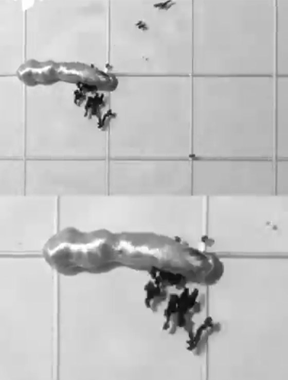  ���� ��� 10 - ����� ��� ���.. ����� ���� ������� �� ������ (����� ����)