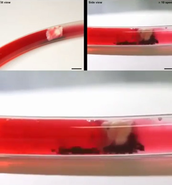  ���� ��� 11 - ����� ��� ���.. ����� ���� ������� �� ������ (����� ����)