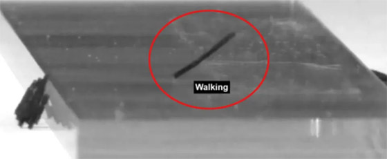  ���� ��� 3 - ����� ��� ���.. ����� ���� ������� �� ������ (����� ����)