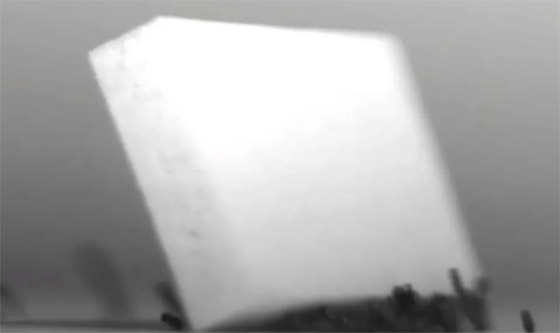  ���� ��� 5 - ����� ��� ���.. ����� ���� ������� �� ������ (����� ����)