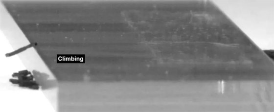  ���� ��� 6 - ����� ��� ���.. ����� ���� ������� �� ������ (����� ����)