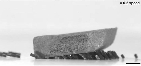  ���� ��� 1 - ����� ��� ���.. ����� ���� ������� �� ������ (����� ����)