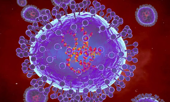 حقيقة حقيقة