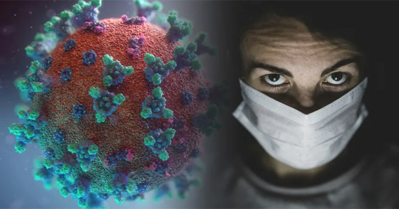 حقيقة حقيقة