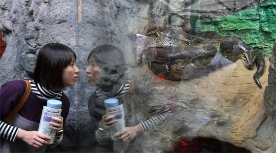 لحظات لا تصدق في عام الأفعى.. الإنسان والثعبان معا في صور مدهشة صورة رقم 6 لحظات لا تصدق في عام الأفعى.. الإنسان والثعبان معا في صور مدهشة صورة رقم 6