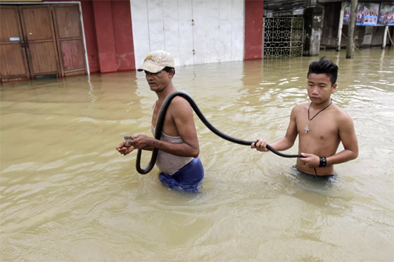 لحظات لا تصدق في عام الأفعى.. الإنسان والثعبان معا في صور مدهشة صورة رقم 8 لحظات لا تصدق في عام الأفعى.. الإنسان والثعبان معا في صور مدهشة صورة رقم 8
