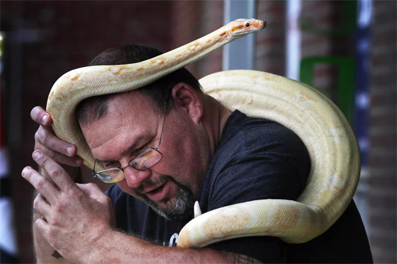 لحظات لا تصدق في عام الأفعى.. الإنسان والثعبان معا في صور مدهشة صورة رقم 10 لحظات لا تصدق في عام الأفعى.. الإنسان والثعبان معا في صور مدهشة صورة رقم 10