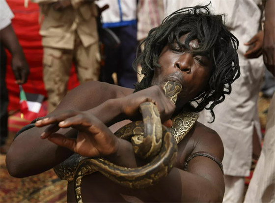 لحظات لا تصدق في عام الأفعى.. الإنسان والثعبان معا في صور مدهشة صورة رقم 12 لحظات لا تصدق في عام الأفعى.. الإنسان والثعبان معا في صور مدهشة صورة رقم 12