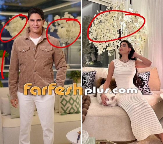 صور ياسمين صبري وطليقها أحمد أبو هشيمة في نفس المكان وأخبار تؤكد عودتهما! صورة رقم 1