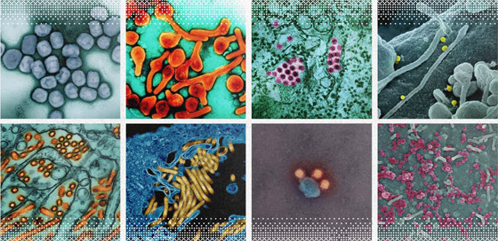 منظمة الصحة العالمية عن الجائحة المقبلة: منظمة الصحة العالمية عن الجائحة المقبلة: