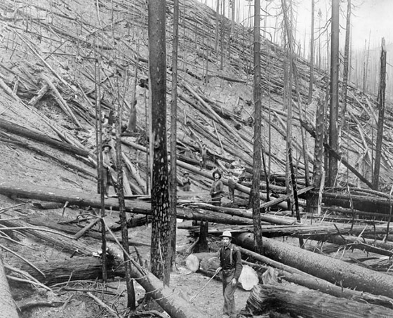 يومان ودمار مرعب.. تعرف على أسوأ حريق بتاريخ أميركا صورة رقم 3