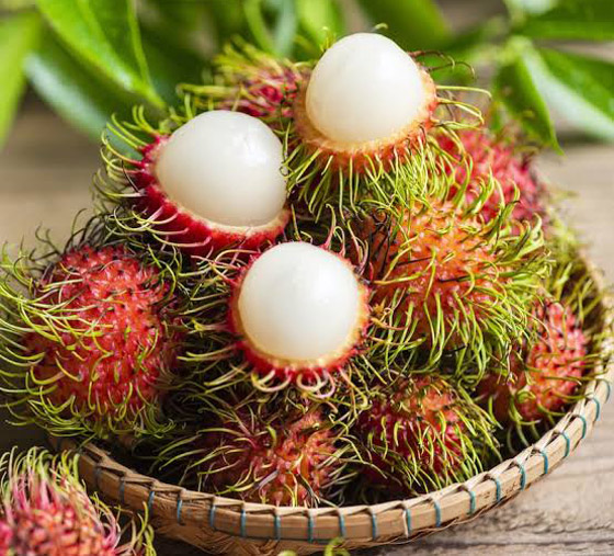 فوائد فاكهة الرامبوتان ستُذهلكم دون شك..! صورة رقم 2 فوائد فاكهة الرامبوتان ستُذهلكم دون شك..! صورة رقم 2