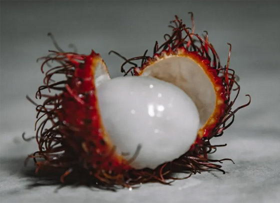 فوائد فاكهة الرامبوتان ستُذهلكم دون شك..! صورة رقم 3 فوائد فاكهة الرامبوتان ستُذهلكم دون شك..! صورة رقم 3