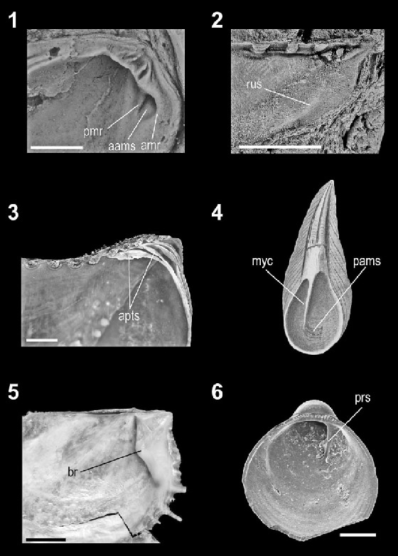  ���� ��� 3 - ������� ����� ����� ���� �� 