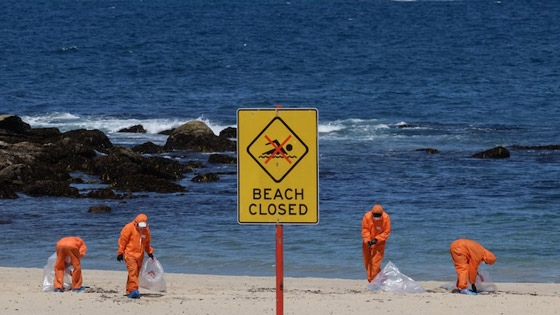 حوادث تتكرر.. إغلاق شواطئ سيدني بعد ظهور أجسام غامضة صورة رقم 3 حوادث تتكرر.. إغلاق شواطئ سيدني بعد ظهور أجسام غامضة صورة رقم 3