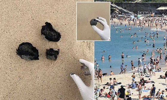 حوادث تتكرر.. إغلاق شواطئ سيدني بعد ظهور أجسام غامضة صورة رقم 1 حوادث تتكرر.. إغلاق شواطئ سيدني بعد ظهور أجسام غامضة صورة رقم 1