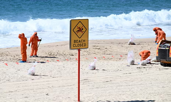 حوادث تتكرر.. إغلاق شواطئ سيدني بعد ظهور أجسام غامضة صورة رقم 10 حوادث تتكرر.. إغلاق شواطئ سيدني بعد ظهور أجسام غامضة صورة رقم 10