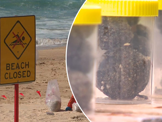 حوادث تتكرر.. إغلاق شواطئ سيدني بعد ظهور أجسام غامضة صورة رقم 11 حوادث تتكرر.. إغلاق شواطئ سيدني بعد ظهور أجسام غامضة صورة رقم 11